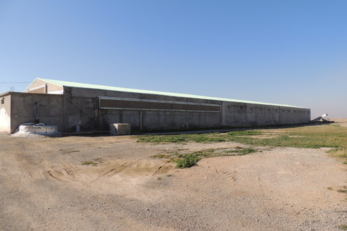 Bâtiment de 20 800 poules pondeuses avec Pad cooling sur les 2 côtés du bâtiment + en pignon et extraction en turbine au pignon opposé.