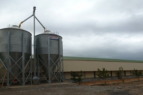 Silos de stockage d'aliment